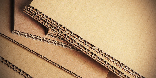 新聞資（zī）訊